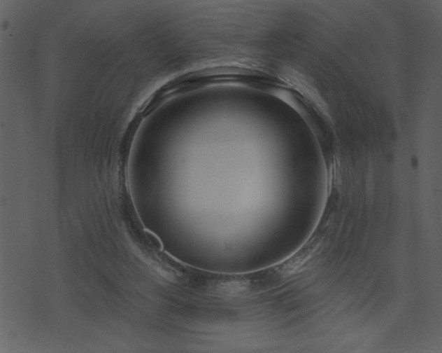 X0000071770156200606301204