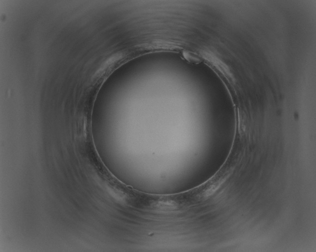 X0000071770157200606301204