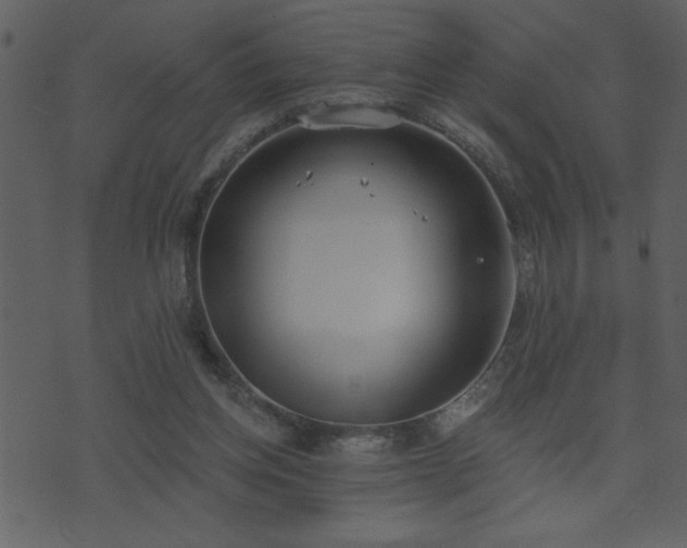 X0000071770158200606301204