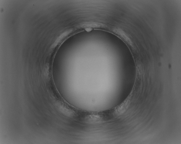 X0000071770159200606301204