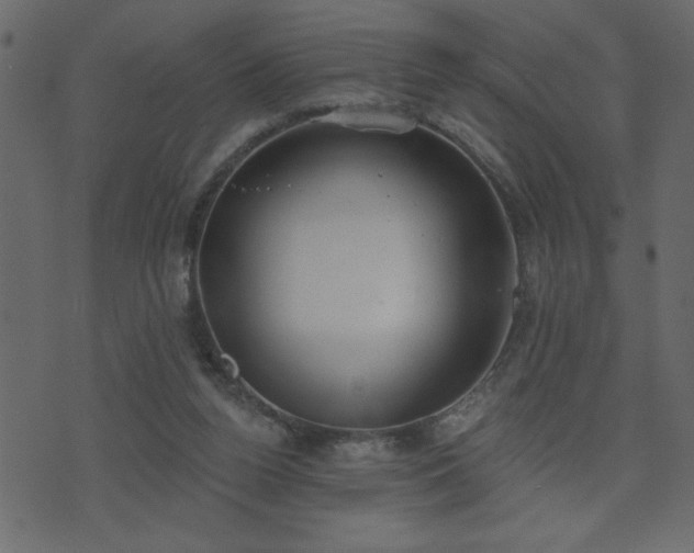 X0000071770160200606301204