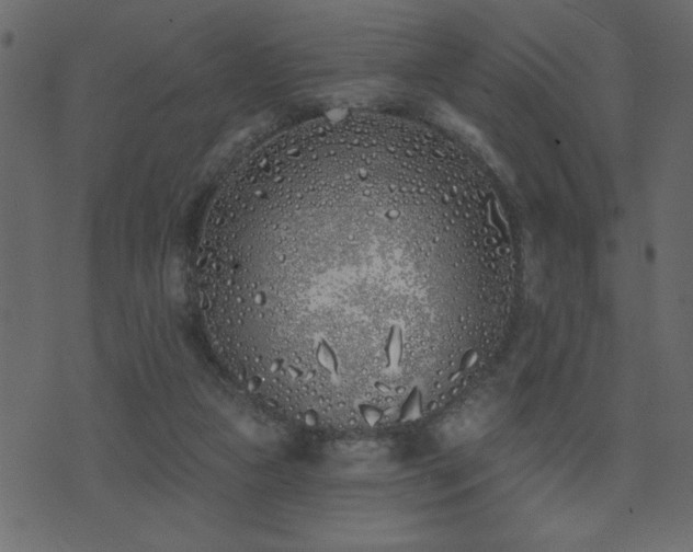 X0000071770161200606301204