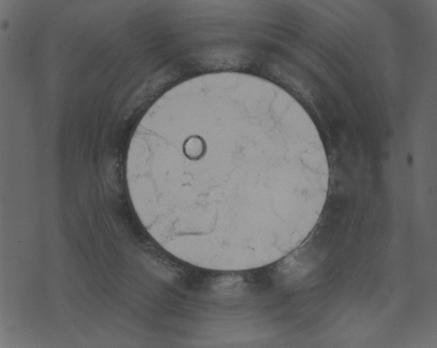 X0000071770162200606301204