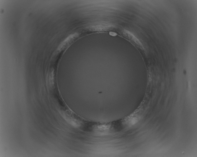 X0000071770163200606301204