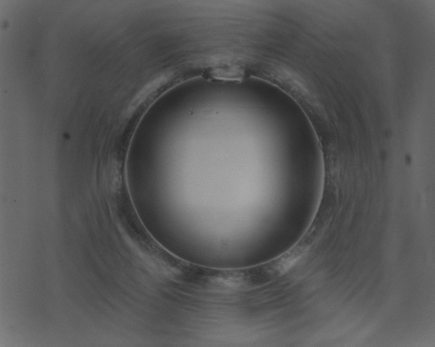 X0000071770164200606301204