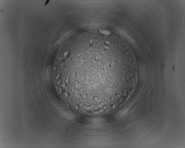 X0000071770165200606301204