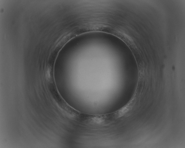 X0000071770166200606301204