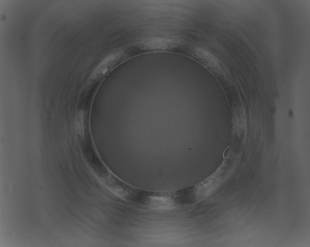 X0000071770167200606301204