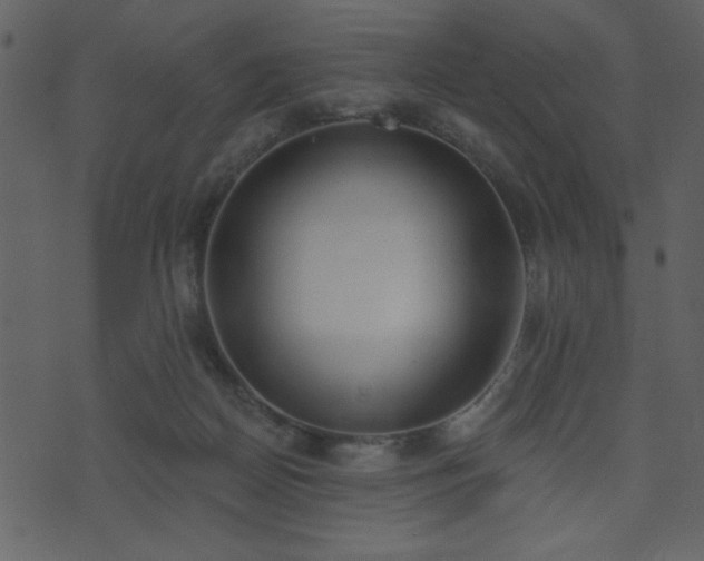 X0000071770170200606301204