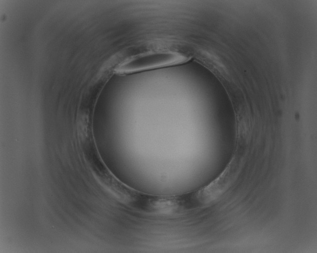 X0000071770171200606301204