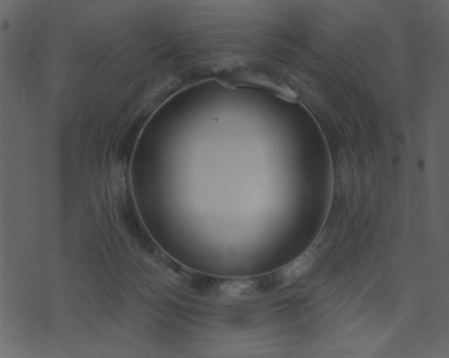 X0000071770172200606301204