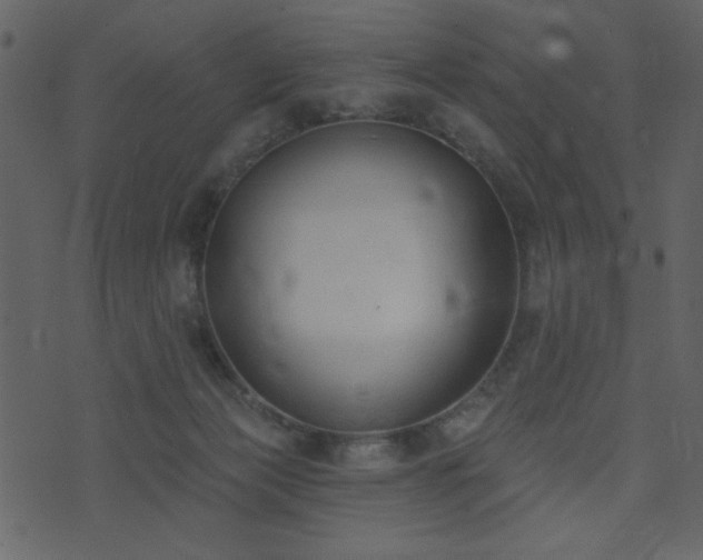 X0000071770173200606301204