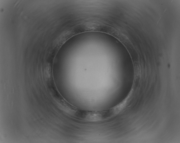 X0000071770174200606301204