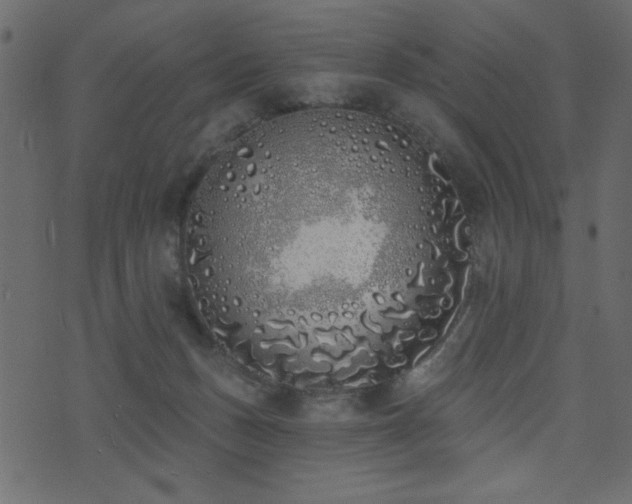 X0000071770175200606301204