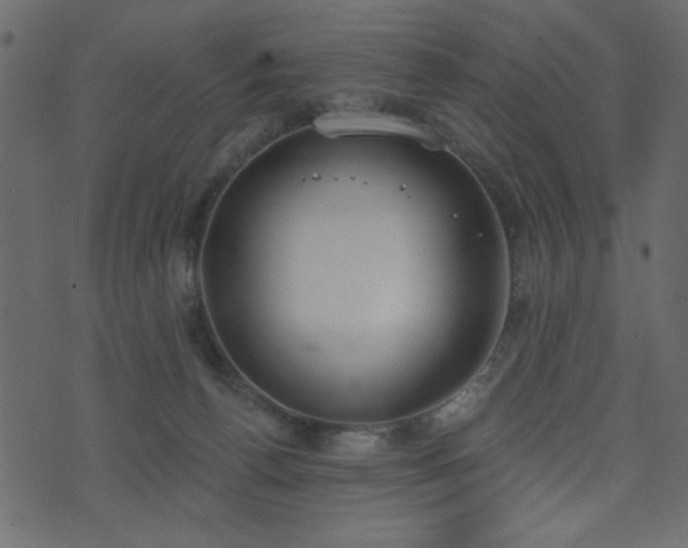 X0000071770176200606301204