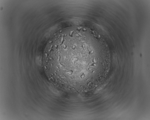 X0000071770177200606301204