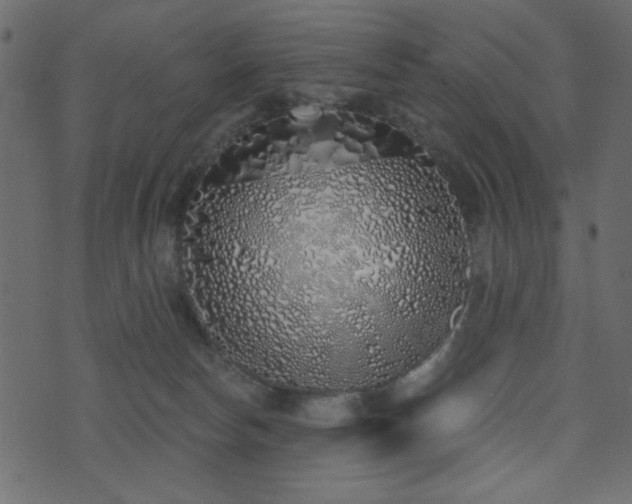 X0000071770178200606301204