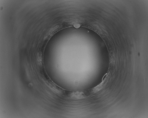 X0000071770179200606301204