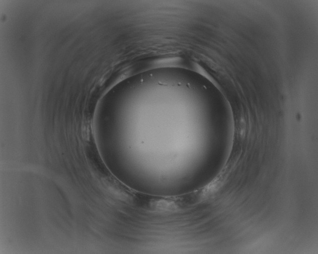 X0000071770180200606301204