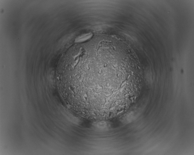 X0000071770181200606301204