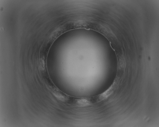 X0000071770183200606301204