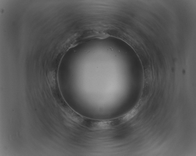 X0000071770184200606301204