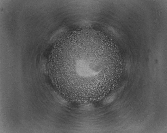 X0000071770185200606301204