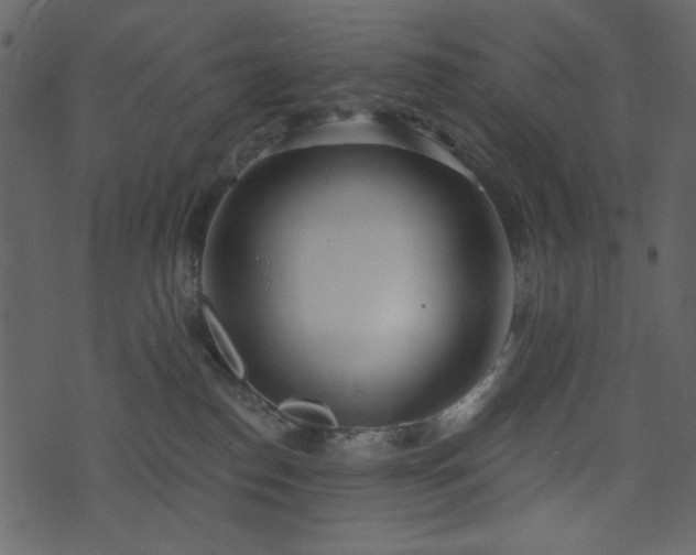 X0000071770186200606301204