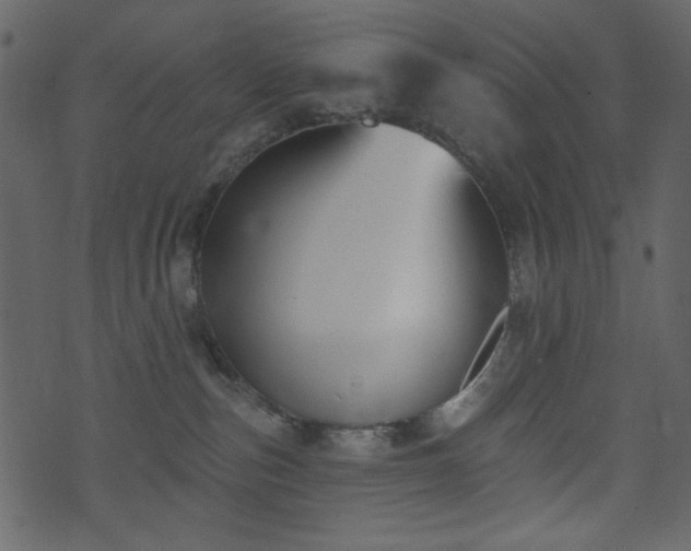 X0000071770187200606301204