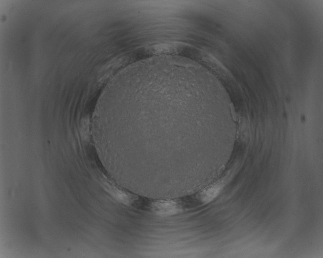 X0000071770189200606301204