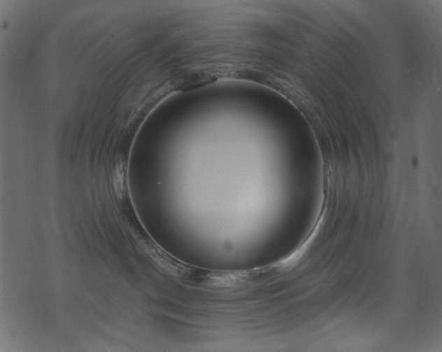 X0000071770190200606301204