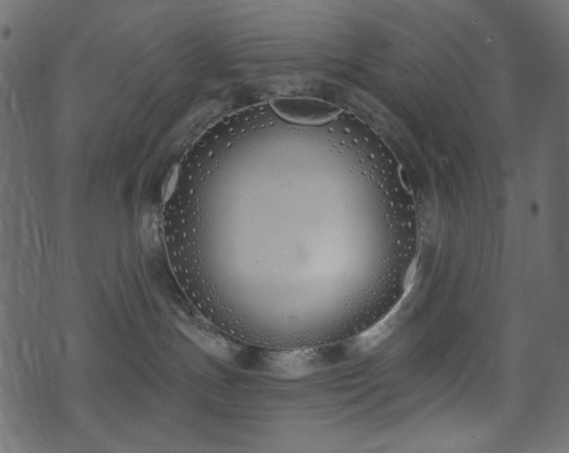 X0000071770191200606301204