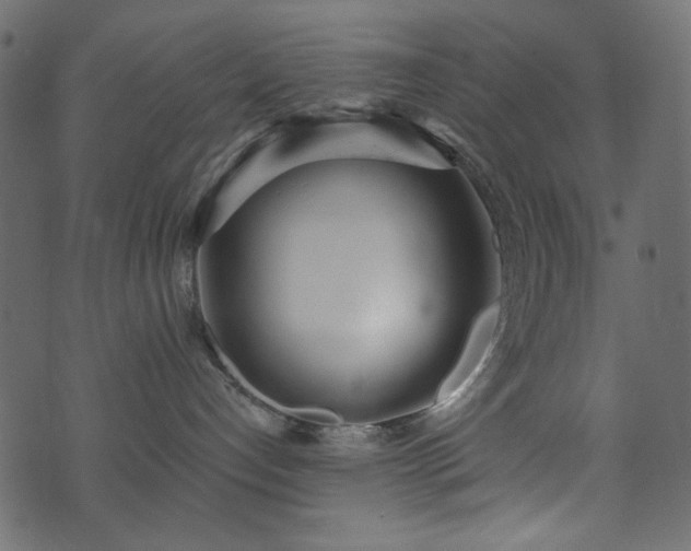 X0000071770192200606301204