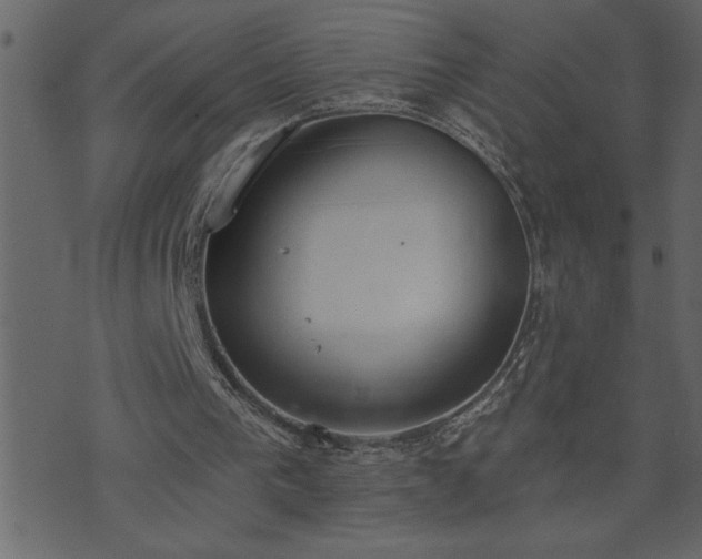 X0000071770193200606301204