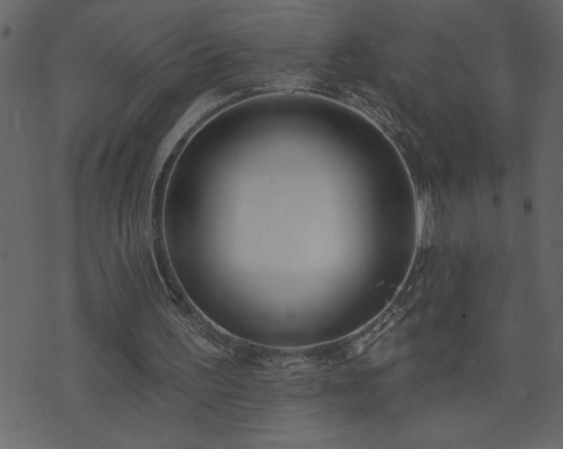 X0000071770195200606301204