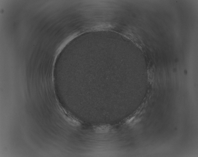 X0000071770196200606301204