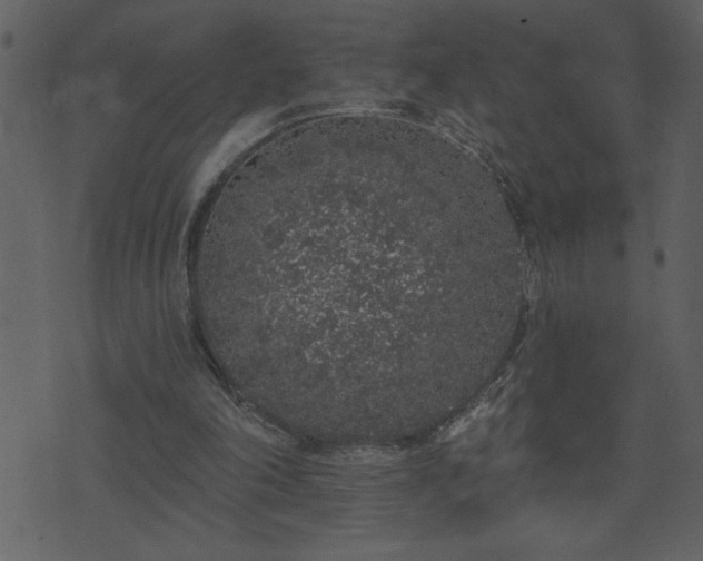 X0000071770198200606301203