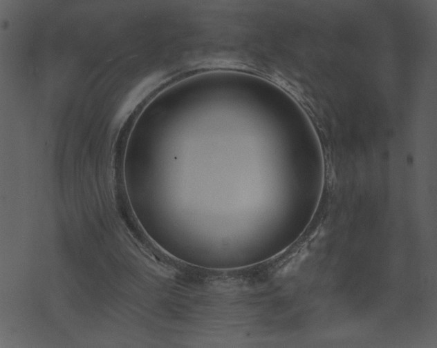 X0000071770199200606301203