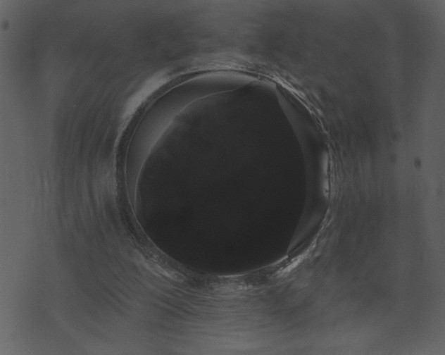 X0000071770200200606301203