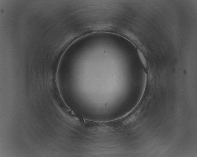 X0000071770201200606301203