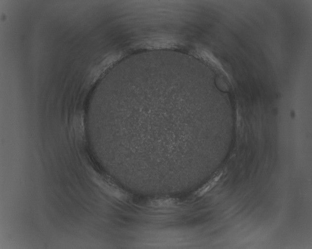 X0000071770202200606301203