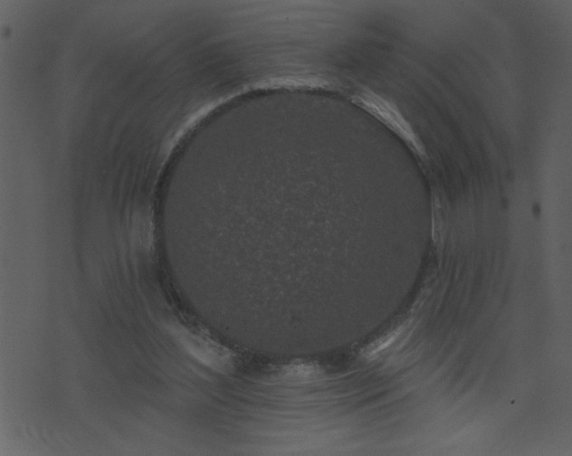 X0000071770204200606301203