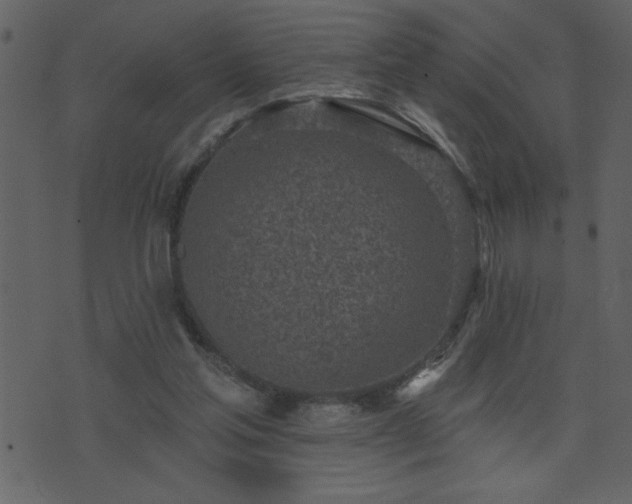 X0000071770205200606301203