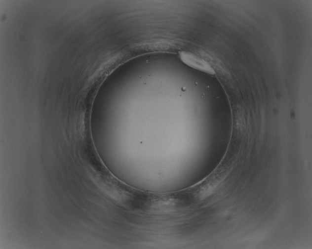 X0000071770206200606301203