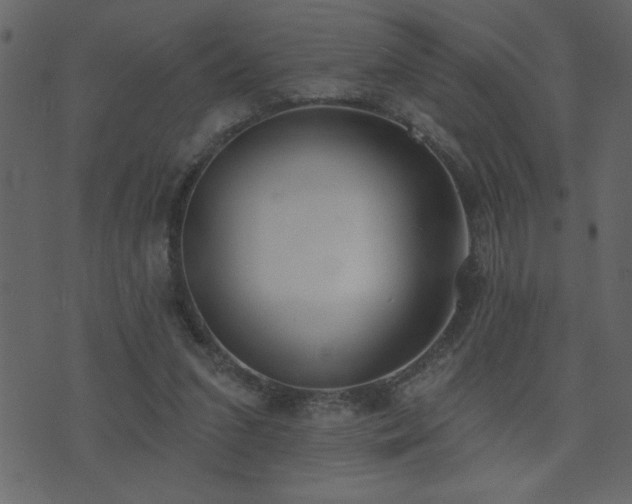 X0000071770207200606301203