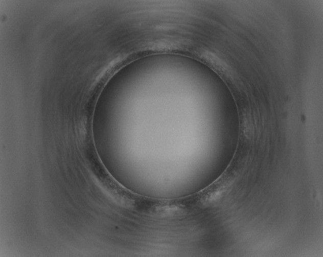 X0000071770208200606301203