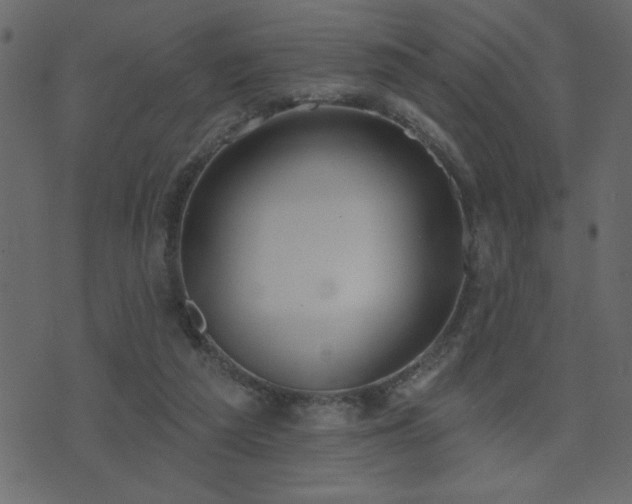 X0000071770209200606301203