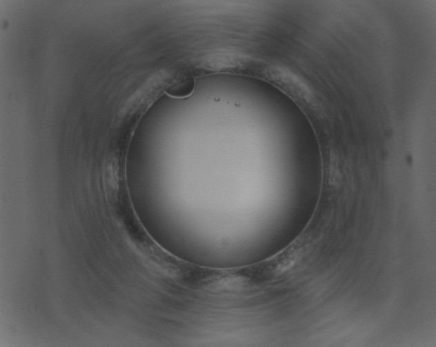 X0000071770210200606301203