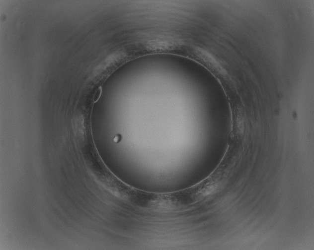 X0000071770211200606301203