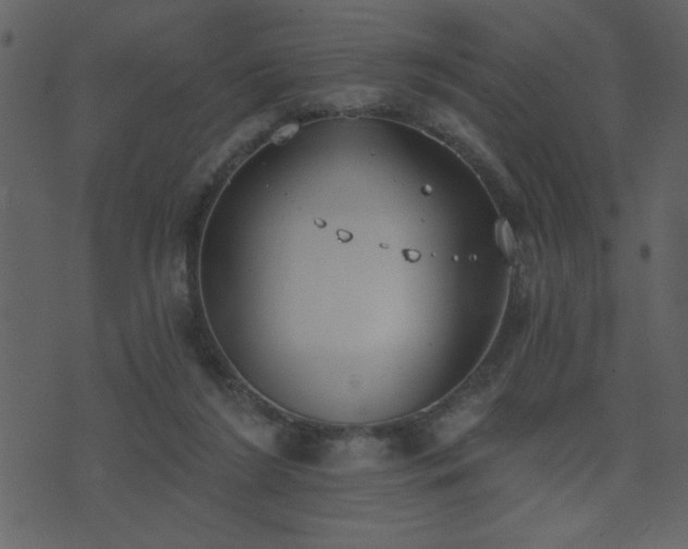 X0000071770212200606301203